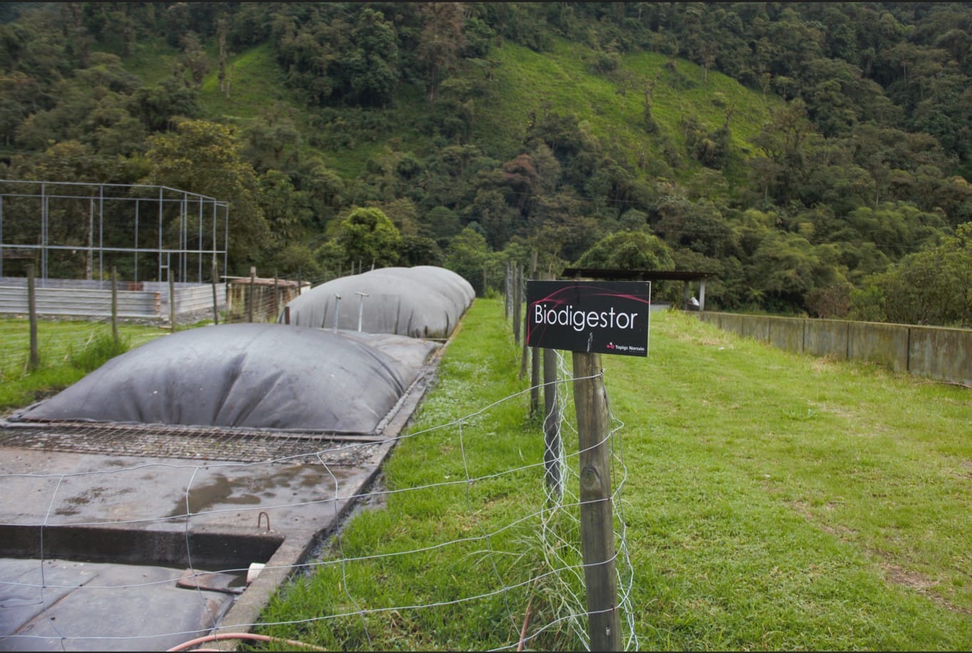 Dois sacos de biodigestor em um pasto, com uma placa escrita Biodigestor e a floresta atrás