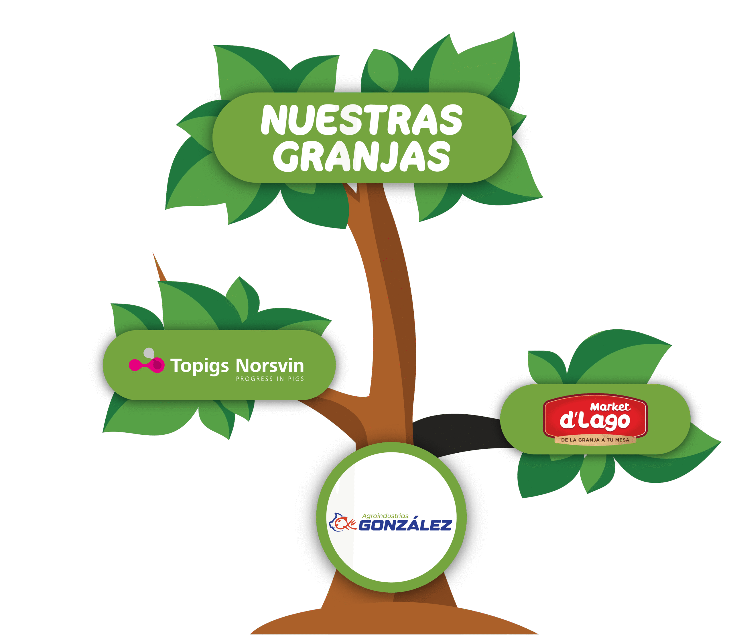 arbol